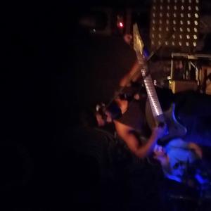 Animals as Leaders